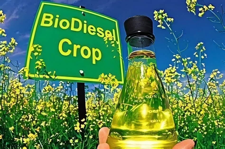 Aplicação: Dessulfurização por Extração Ultrassônica-Oxidativa de Diesel Contendo Enxofre